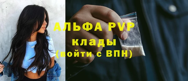молекула духа Волоколамск